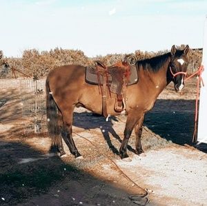 Meet your Posher, Ellen